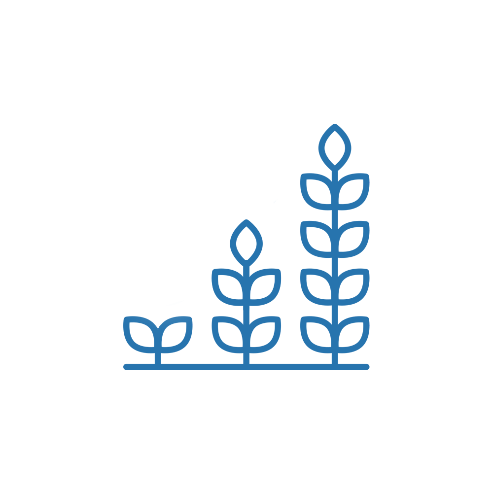 Icon of tall plants growing