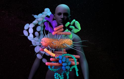 3D Model of gut microbiome