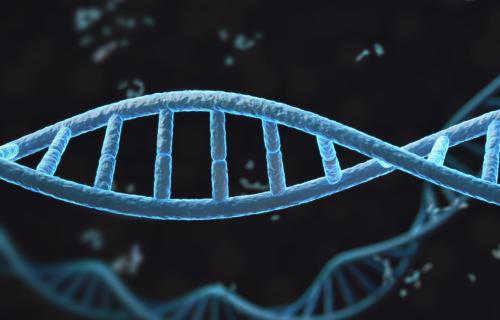 DNA Helix