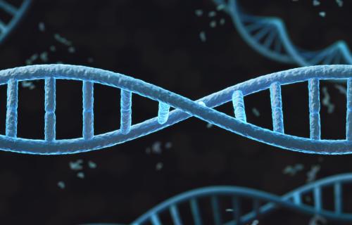DNA Helix