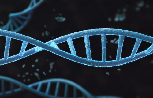 DNA Helix