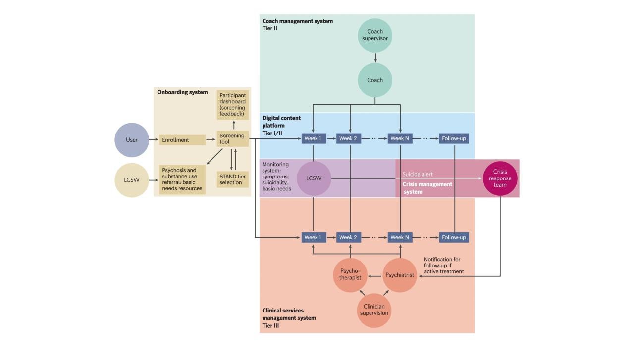 Flowchart of STAND systems to manage assessment, risk management, care, and supervision.