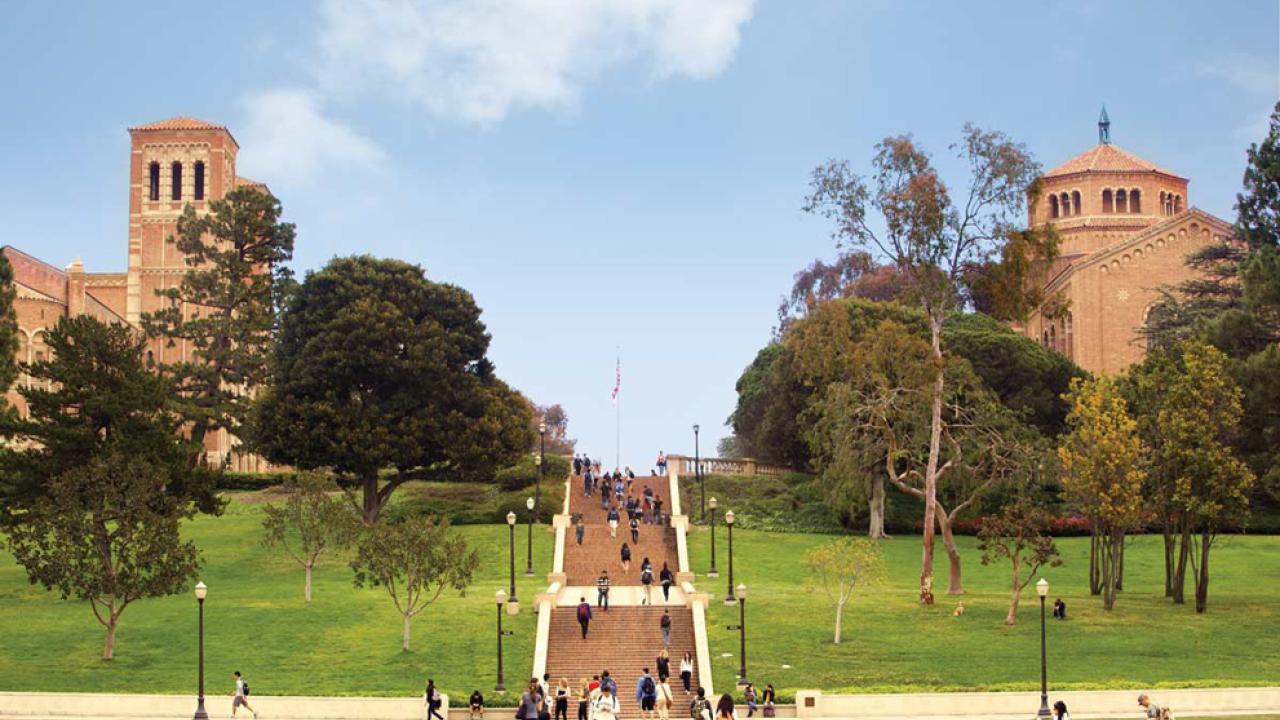 Wilson Plaza, a grassy hill with central stairs.
