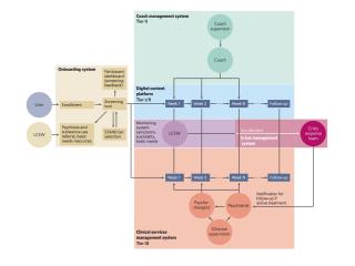 Flowchart of STAND systems to manage assessment, risk management, care, and supervision.
